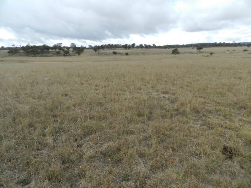 1193 (Lot 5) Bullamalita Road, Bungonia NSW 2580