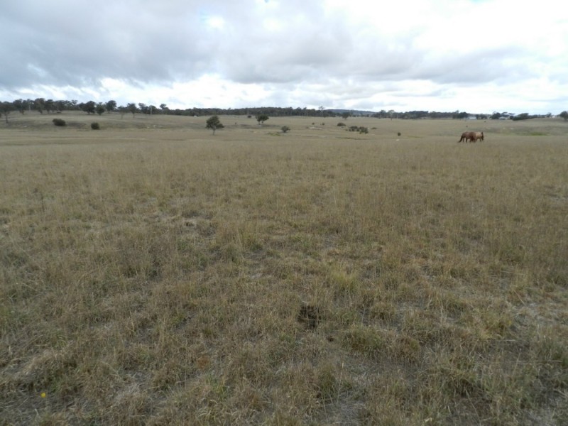 1193 (Lot 5) Bullamalita Road, Bungonia NSW 2580