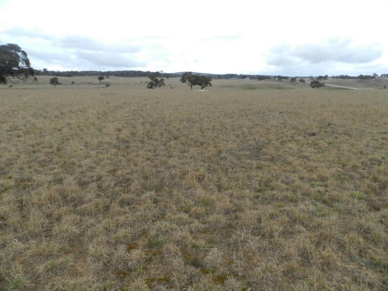 1193 (Lot 5) Bullamalita Road, Bungonia NSW 2580