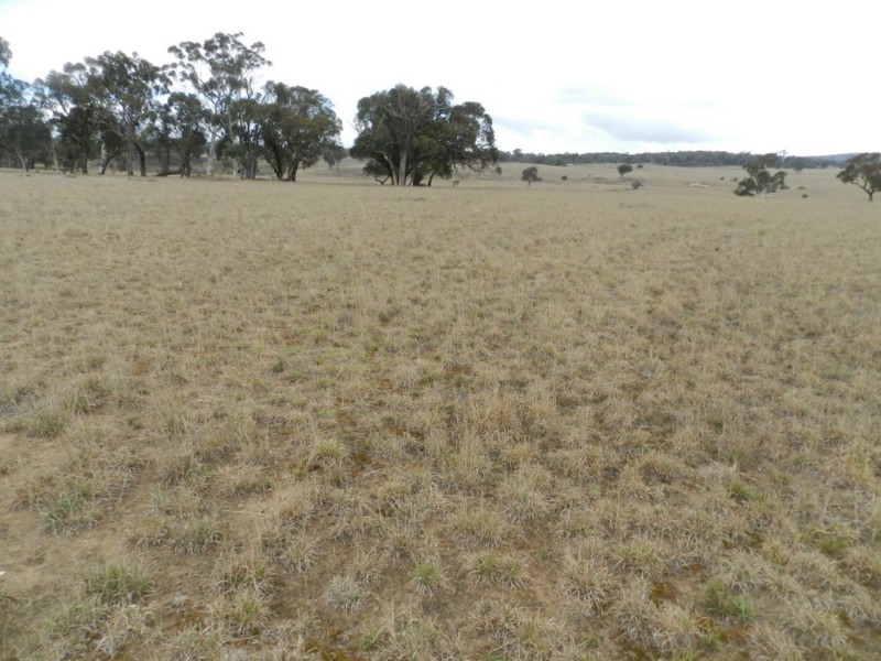 1193 (Lot 5) Bullamalita Road, Bungonia NSW 2580