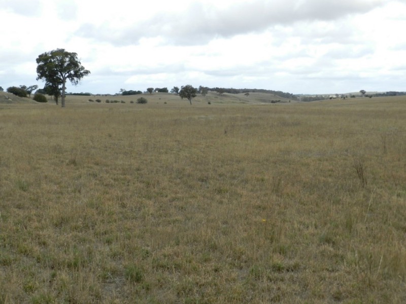 1193 (Lot 5) Bullamalita Road, Bungonia NSW 2580