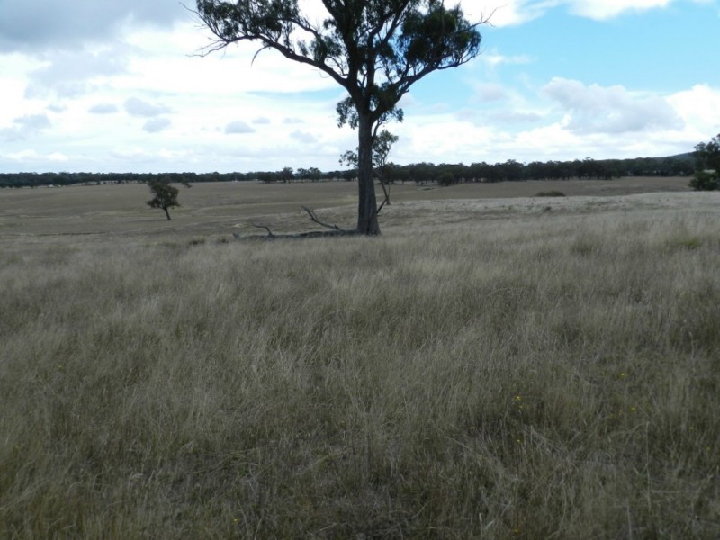 1193 (Lot 5) Bullamalita Road, Bungonia NSW 2580