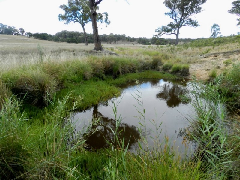 1193 (Lot 5) Bullamalita Road, Bungonia NSW 2580