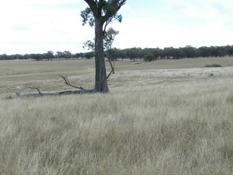 1193 (Lot 5) Bullamalita Road, Bungonia NSW 2580