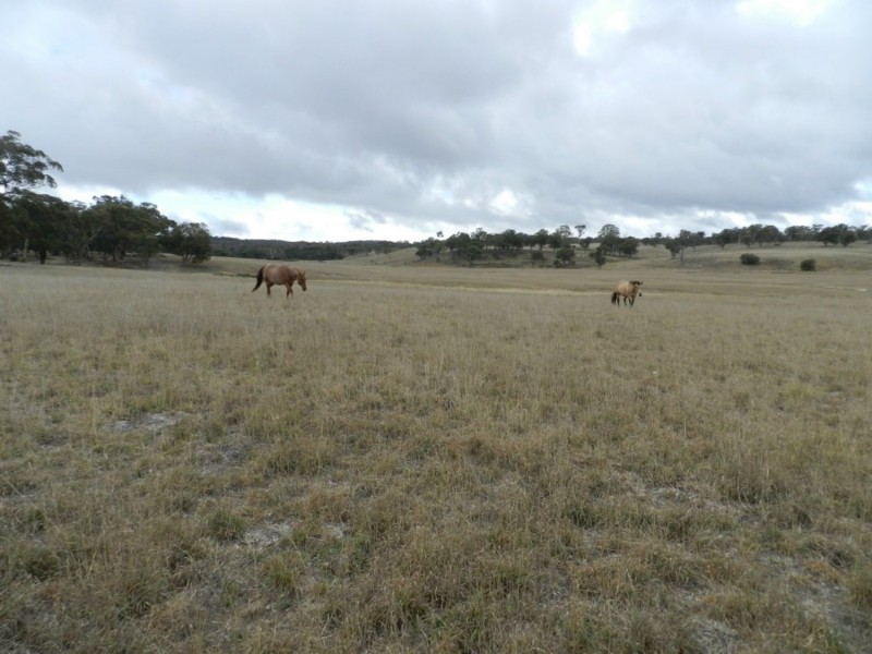 1193 (Lot 5) Bullamalita Road, Bungonia NSW 2580