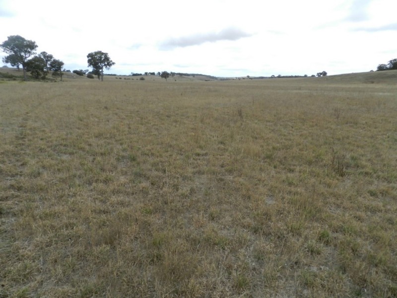 1193 (Lot 5) Bullamalita Road, Bungonia NSW 2580