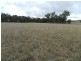 1193 (Lot 5) Bullamalita Road, Bungonia NSW 2580