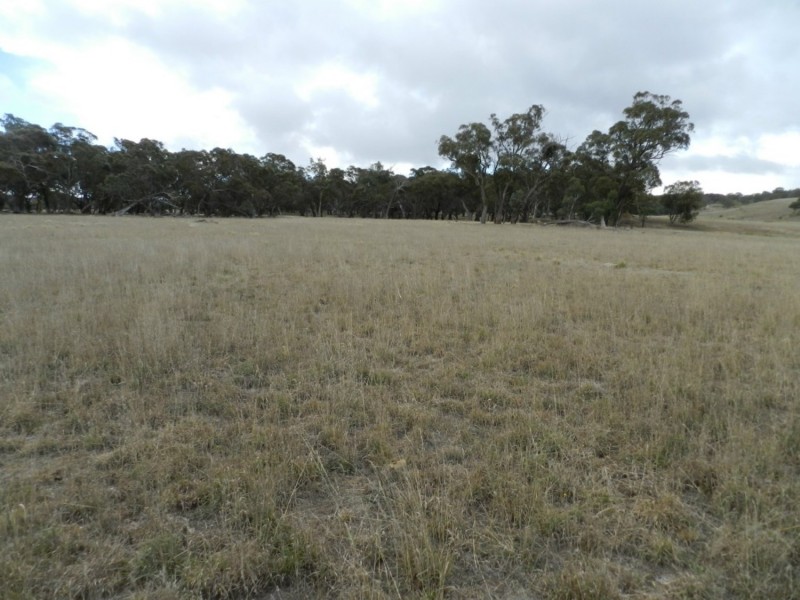 1193 (Lot 5) Bullamalita Road, Bungonia NSW 2580