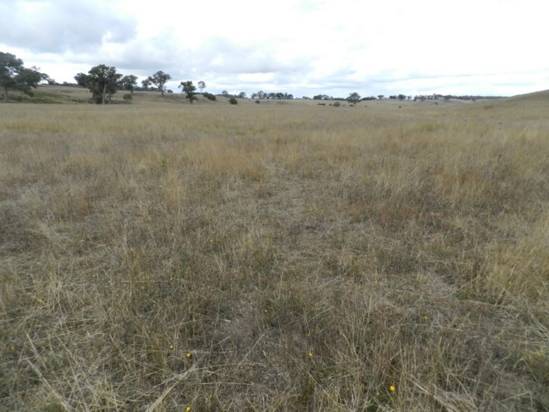 1193 (Lot 5) Bullamalita Road, Bungonia NSW 2580