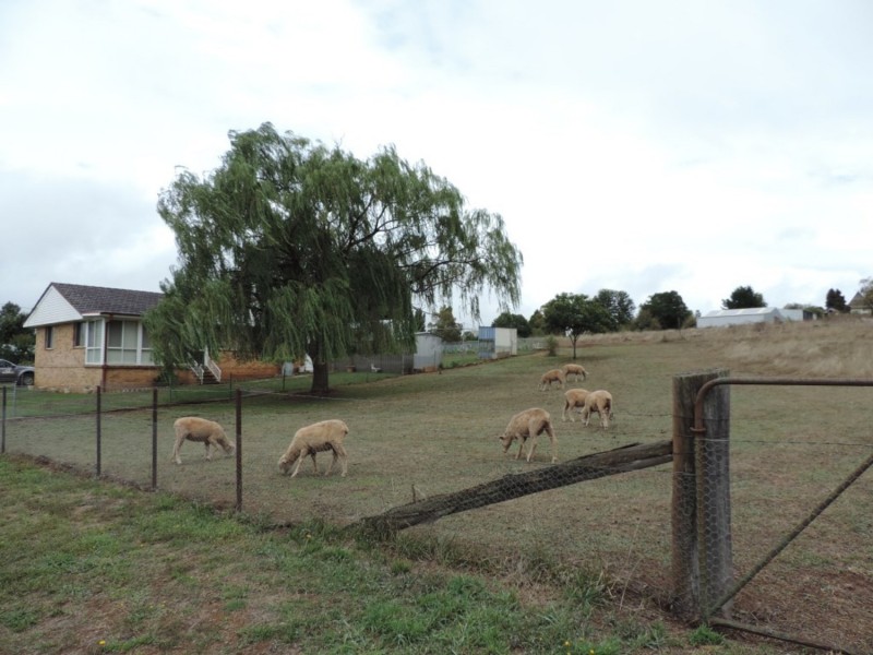 66 MacArthur Street, Taralga NSW 2580