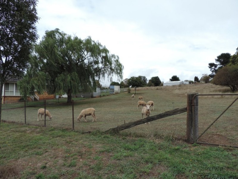 66 MacArthur Street, Taralga NSW 2580