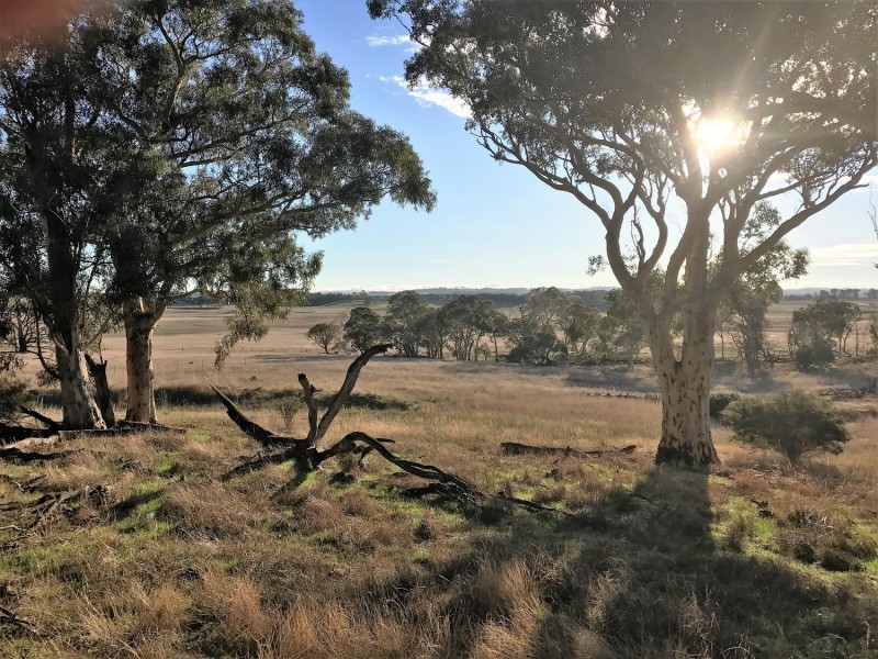 Lot 1  566 Thornford Road, Yarra NSW 2580