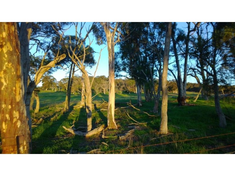 Lot 1  566 Thornford Road, Yarra NSW 2580