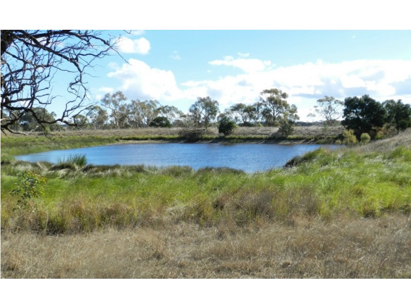 Lot 1  566 Thornford Road, Yarra NSW 2580