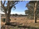 Lot 1  566 Thornford Road, Yarra NSW 2580
