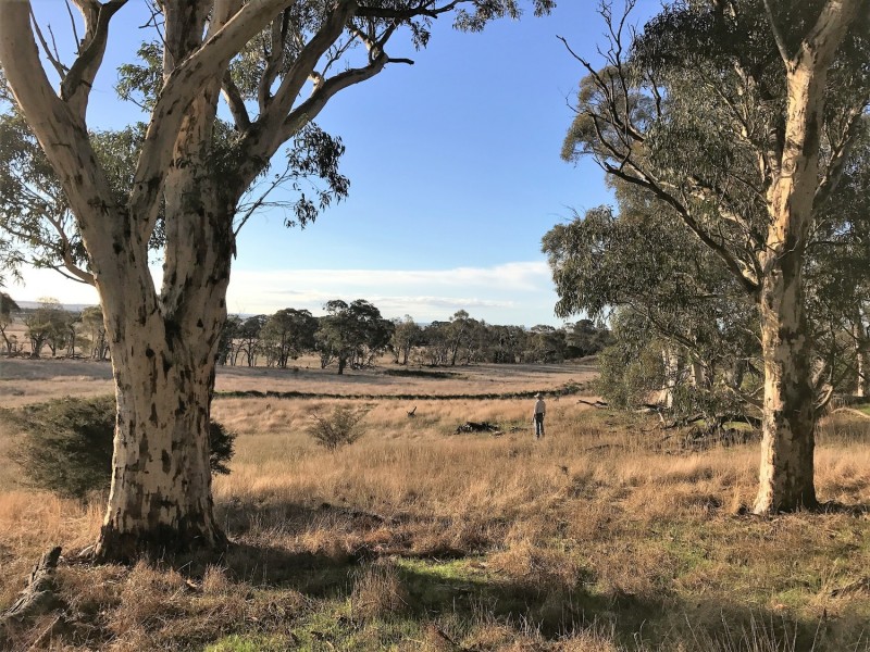 Lot 1  566 Thornford Road, Yarra NSW 2580