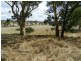 Lot 1  566 Thornford Road, Yarra NSW 2580