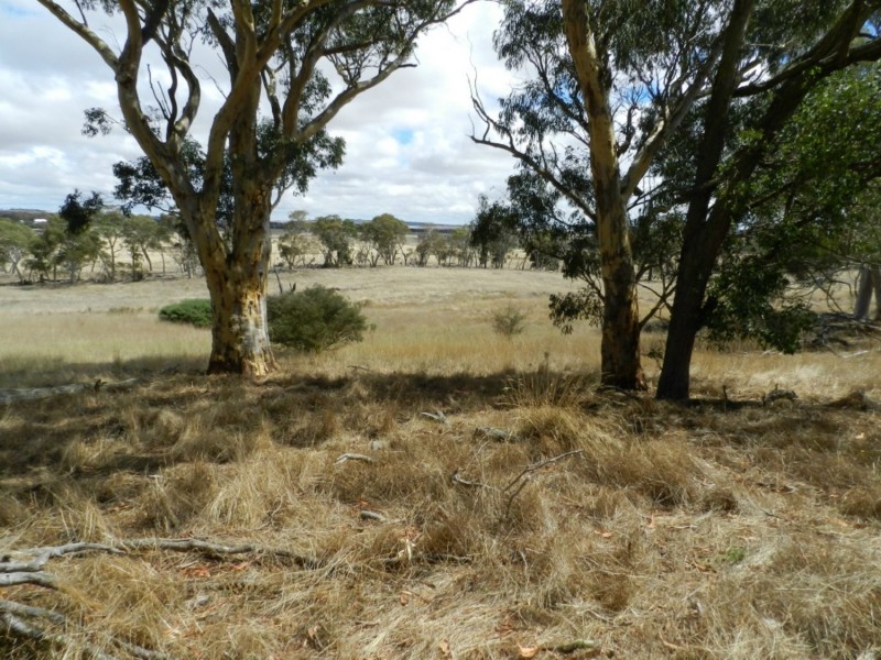 Lot 1  566 Thornford Road, Yarra NSW 2580