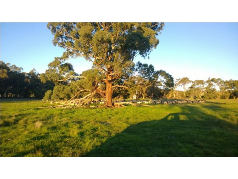 Lot 1  566 Thornford Road, Yarra NSW 2580