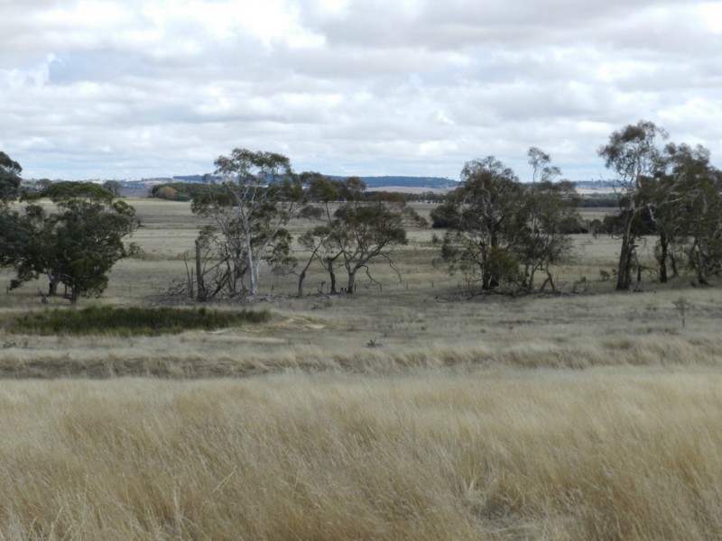 Lot 1  566 Thornford Road, Yarra NSW 2580