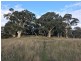 Lot 1  566 Thornford Road, Yarra NSW 2580