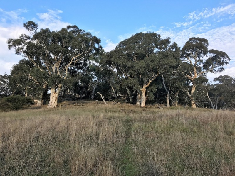 Lot 1  566 Thornford Road, Yarra NSW 2580