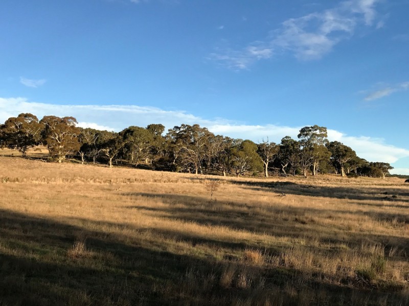 Lot 1  566 Thornford Road, Yarra NSW 2580