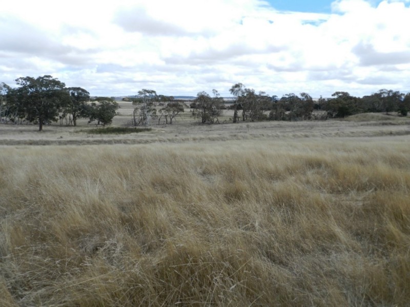 Lot 1  566 Thornford Road, Yarra NSW 2580