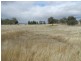 Lot 1  566 Thornford Road, Yarra NSW 2580