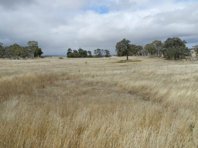 Lot 1  566 Thornford Road, Yarra NSW 2580