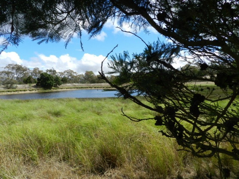Lot 1  566 Thornford Road, Yarra NSW 2580