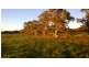 Lot 1  566 Thornford Road, Yarra NSW 2580