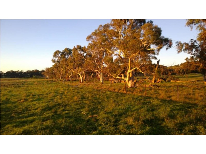 Lot 1  566 Thornford Road, Yarra NSW 2580