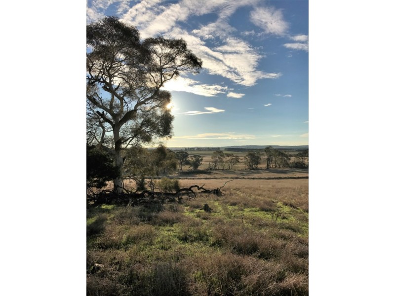 Lot 1  566 Thornford Road, Yarra NSW 2580
