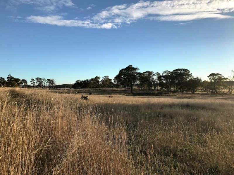 Lot 1  566 Thornford Road, Yarra NSW 2580