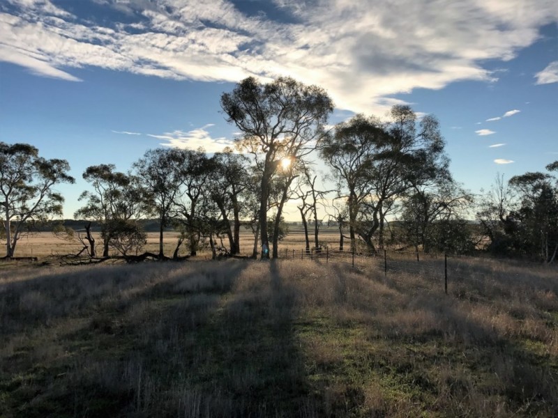Lot 1  566 Thornford Road, Yarra NSW 2580