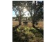 Lot 1  566 Thornford Road, Yarra NSW 2580