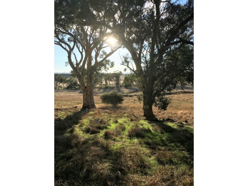 Lot 1  566 Thornford Road, Yarra NSW 2580