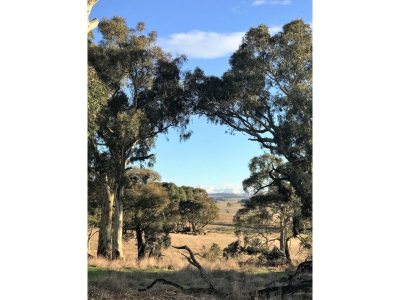 Lot 1  566 Thornford Road, Yarra NSW 2580