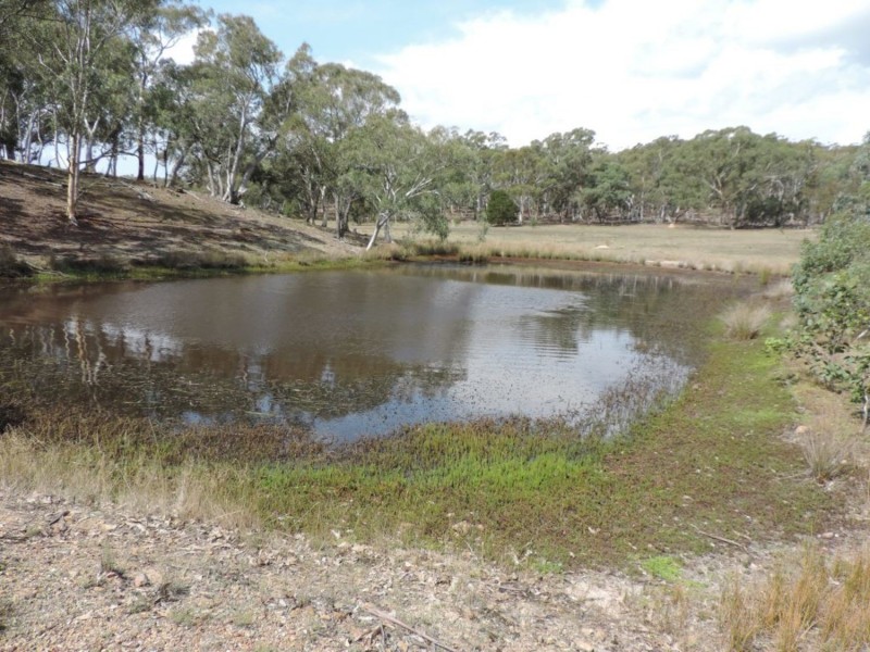 1411 Lumley Road, Bungonia NSW 2580