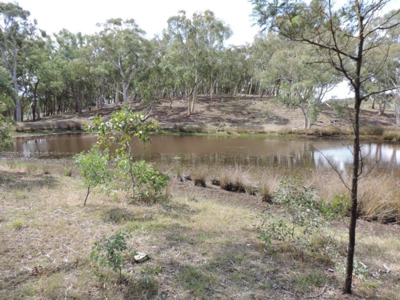 1411 Lumley Road, Bungonia NSW 2580