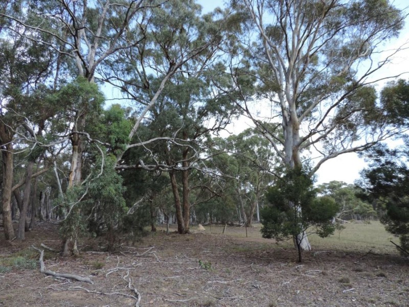 1411 Lumley Road, Bungonia NSW 2580