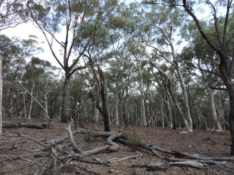 1411 Lumley Road, Bungonia NSW 2580