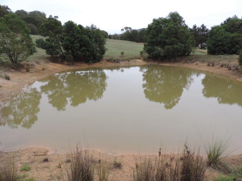 1000 Lower Boro Road, Boro NSW 2622