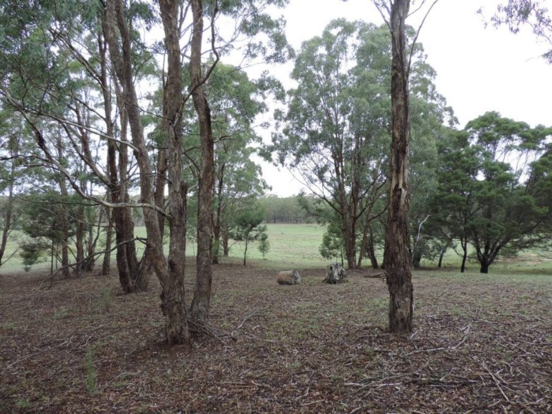 1000 Lower Boro Road, Boro NSW 2622