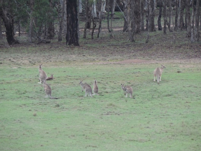 1000 Lower Boro Road, Boro NSW 2622