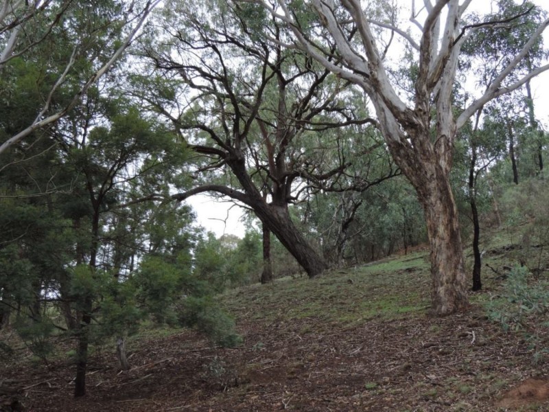 1000 Lower Boro Road, Boro NSW 2622