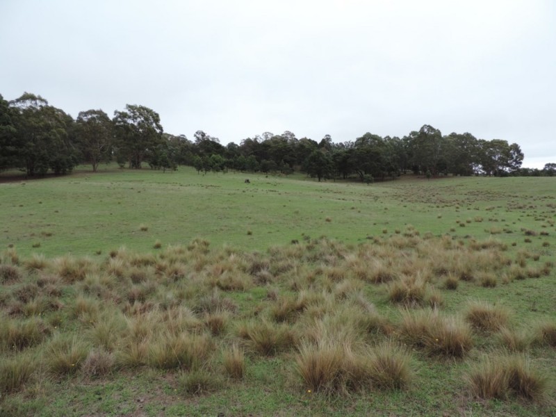 1000 Lower Boro Road, Boro NSW 2622