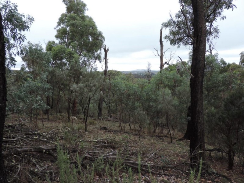 1000 Lower Boro Road, Boro NSW 2622