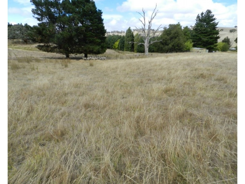 Lot 1 Arthur Street, Binda NSW 2583
